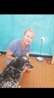 Counselling - Couples Counselling - Auckland - Ngairini Counselling - Couples Counselling - Auckland - Ngairini