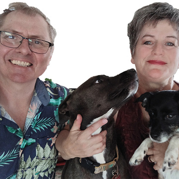 Registered Counsellor Auckland - Cynthia Crosse