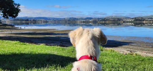 Couples Coaching in Upper Hutt