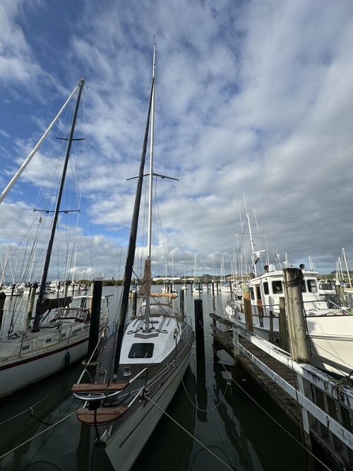 Couples Counselling Whangarei